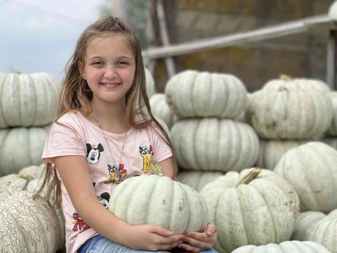 Hasadına 2 Ay Kala Tezgaha İndi, Lezzetiyle Diğer Kabaklara Fark Atıyor