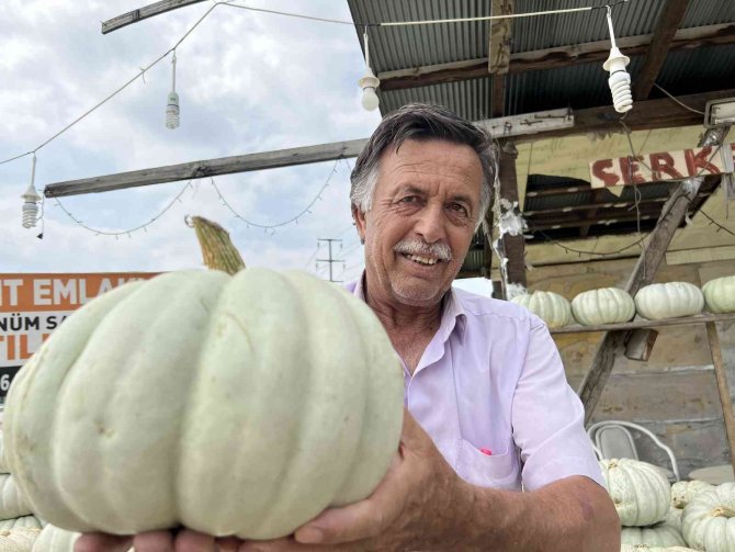 Hasadına 2 Ay Kala Tezgaha İndi, Lezzetiyle Diğer Kabaklara Fark Atıyor