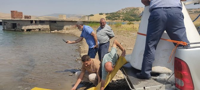 Tatar Baraj Gölüne 200 Bin Pullu Sazan Bırakıldı