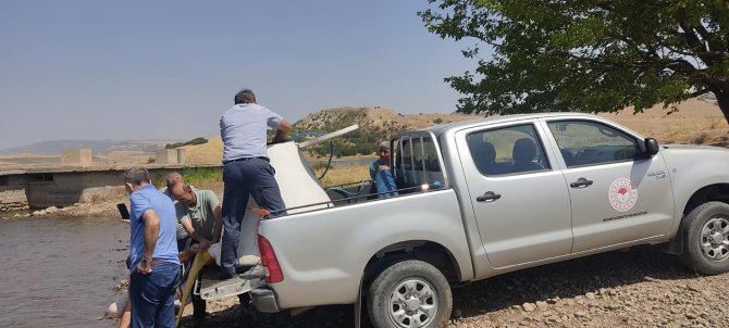 Tatar Baraj Gölüne 200 Bin Pullu Sazan Bırakıldı