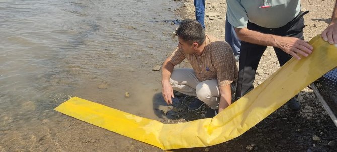 Tatar Baraj Gölüne 200 Bin Pullu Sazan Bırakıldı