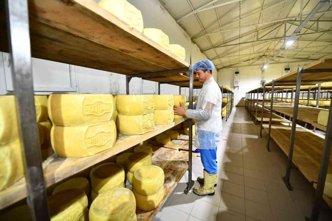 İ̇zmirli Üretici Terra Madre Anadolu İle Dünyaya Açılıyor