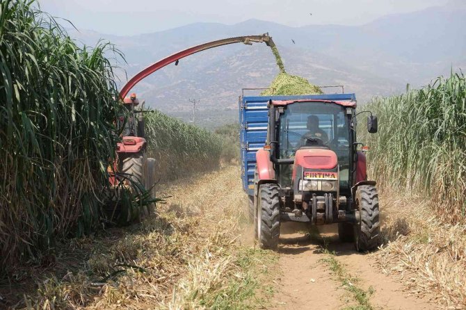 10 Yaşındaki Çocuk İnternette İzlediği Video İle Ailesinin Hayatını Değiştirdi