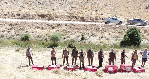 Keklikler Dron İle Görüntülendi