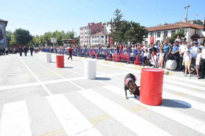 Jandarmanın Eğitimli Köpekleri "Garip" Ve "Testi"nin Gösterileri Büyük Alkış Aldı