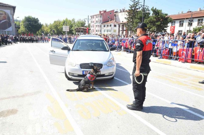 Jandarmanın Eğitimli Köpekleri "Garip" Ve "Testi"nin Gösterileri Büyük Alkış Aldı