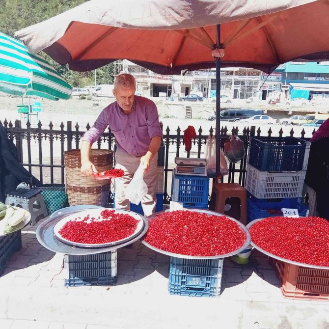 Orman Ve Dere Yataklarından Toplanan Kızılcık, Tezgahlarda Yerini Aldı