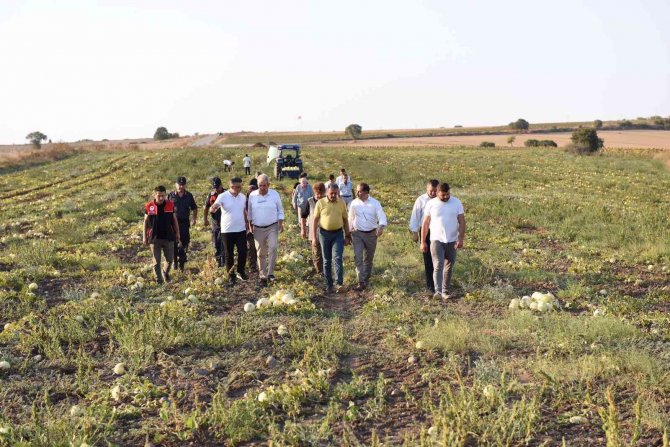 Kavun Diyarında Hasat Yapıldı