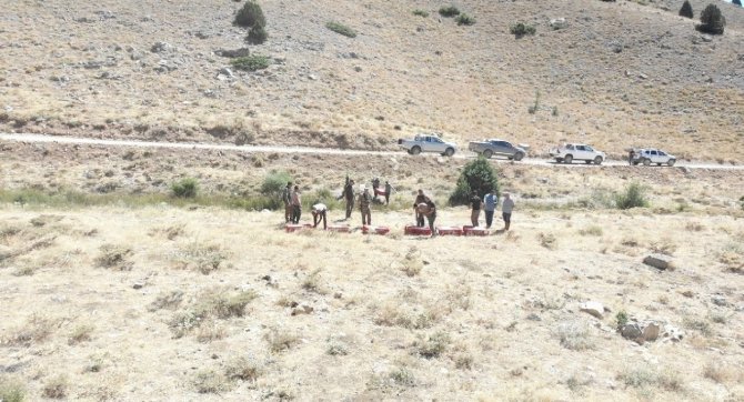 Keklikler Dron İle Görüntülendi