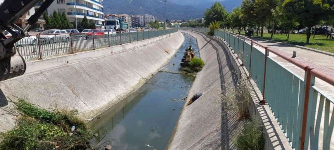 Şehir Merkezindeki Dere Temizlendi