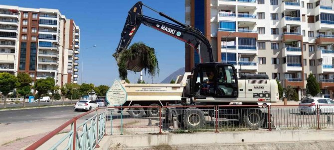 Şehir Merkezindeki Dere Temizlendi