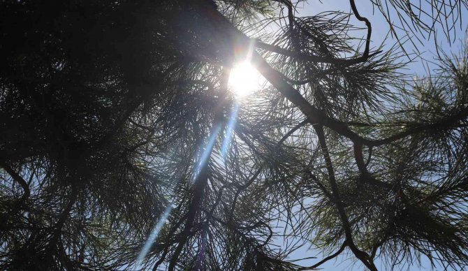 Türkiye’nin Batısı Yağışla Boğuşurken Şanlıurfa Sıcaktan Kavruluyor