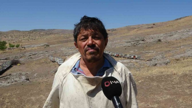 32 Yıllık Arıcından Sahte Bal Uyarısı