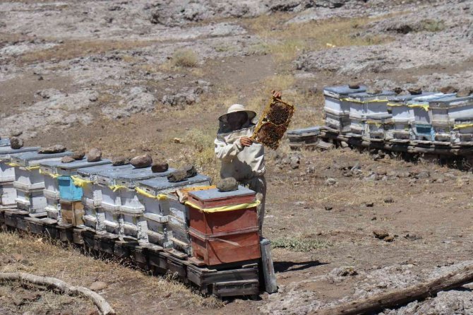 32 Yıllık Arıcından Sahte Bal Uyarısı