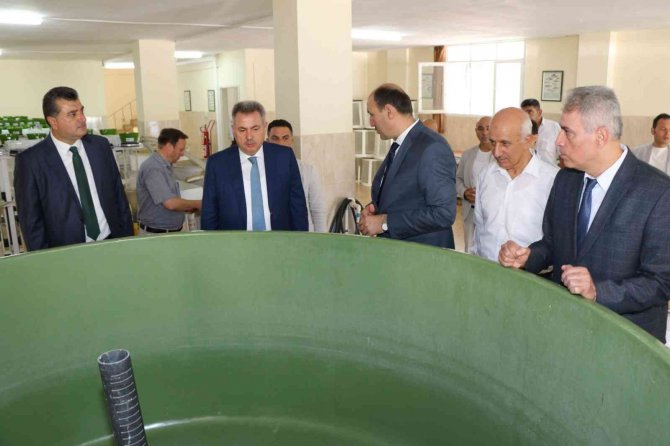 Göl Ve Göletlere 10 Milyon Yavru Balık