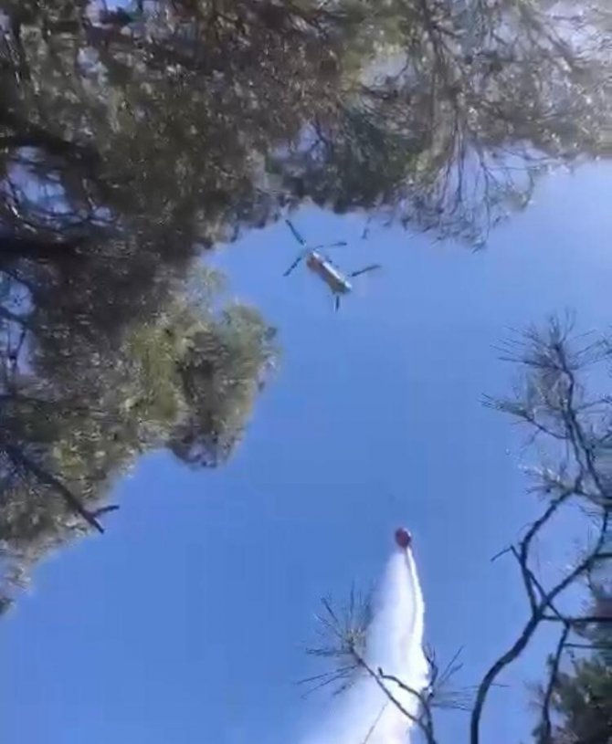 Antalya’da Orman Yangını