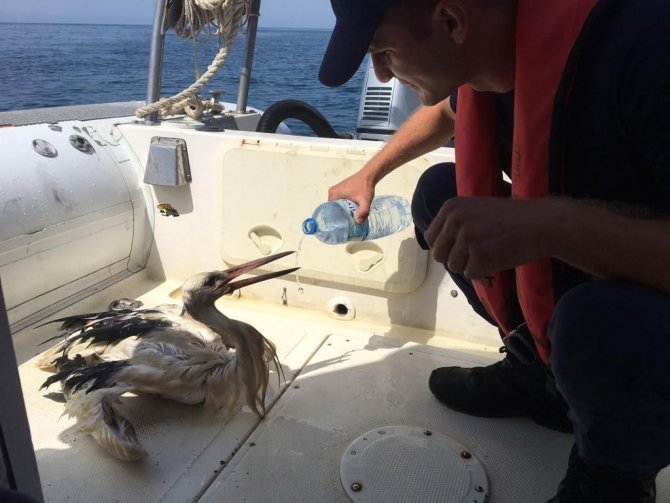 Yaralı Leyleğin İmdadına Sahil Güvenlik Yetişti