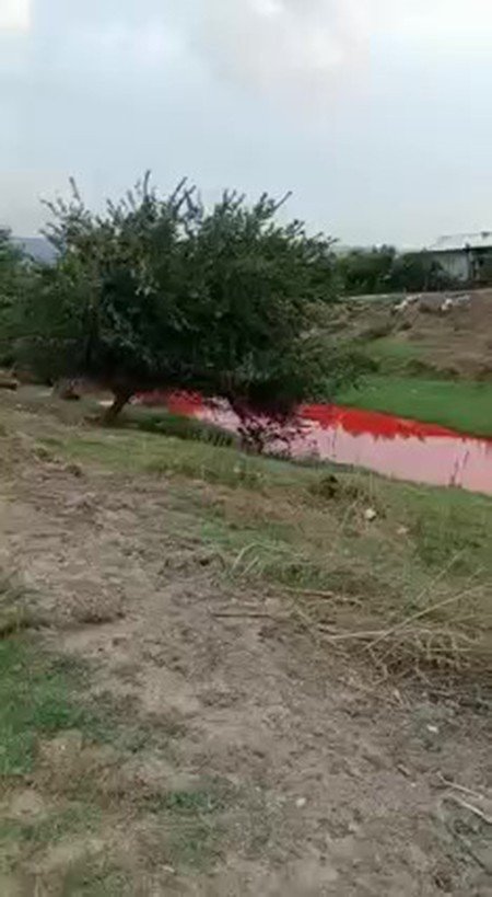 Tarım İlacı Karışan Derenin Rengi Kırmızıya Döndü