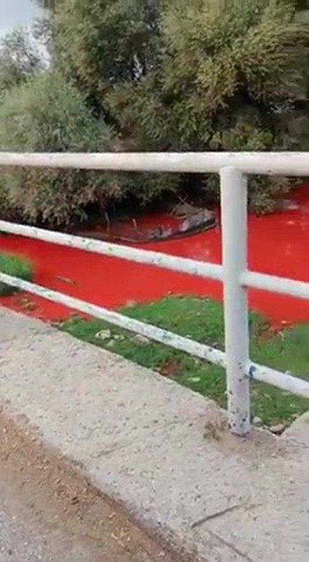 Tarım İlacı Karışan Derenin Rengi Kırmızıya Döndü