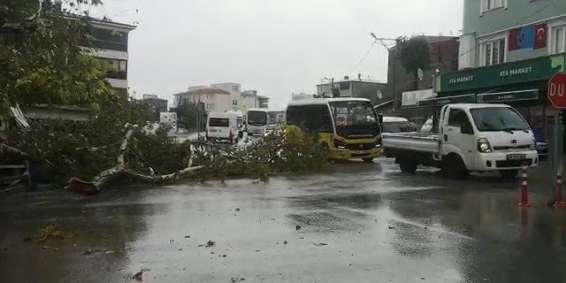 Mudanya’da Sel Arabaları Sürükledi, Karayla Deniz Birleşti