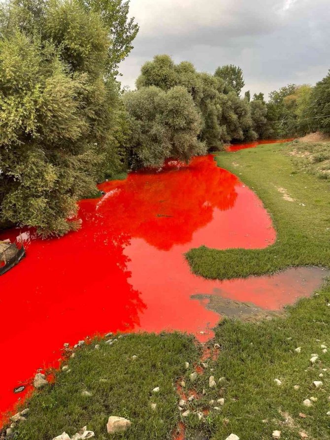 Dere Yatağına Zirai İlaç Dökerek Kirliliğe Neden Olan Zanlıya Rekor Ceza