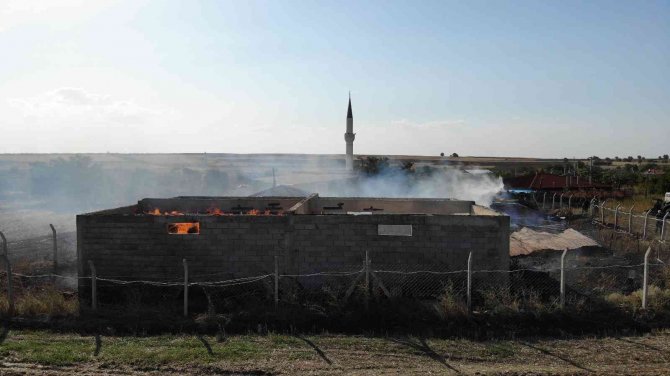 Edirne’de Çiftlikte Yangın: Can Pazarı Yaşandı, Hayvanlar Telef Oldu