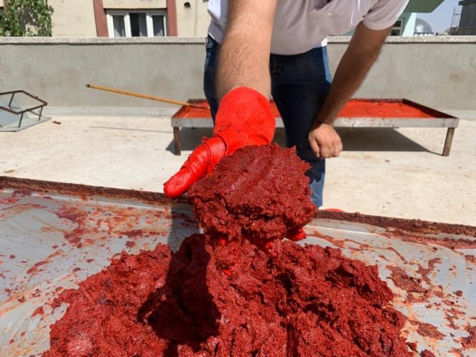 İ̇şletmelerin Salça Mesaisi Başladı