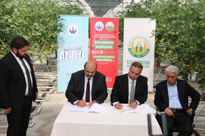 Aziziye Belediyesi İle Tarım Kredi Kooperatifleri Arasında Büyük Anlaşma