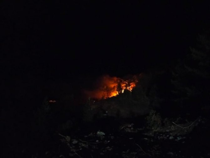 Konya’da Ormanlık Alanda Çıkan Yangın Söndürüldü