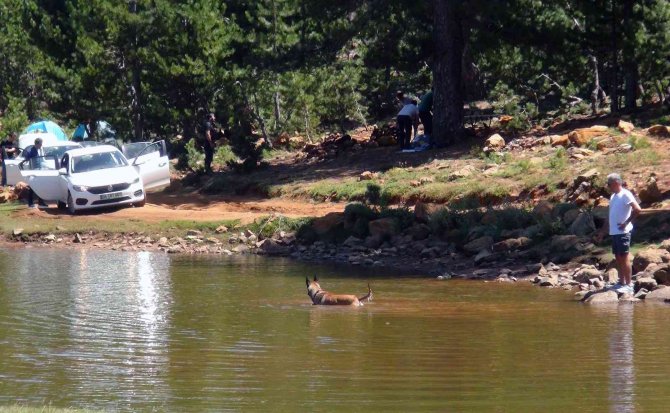 Bin 750 Metredeki Saklı Cennet ‘Gökçeova Göleti’