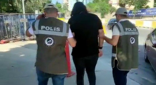 Pendik’te Beslediği Kediye Şiddet Uygulayan Şahıs Yakalandı