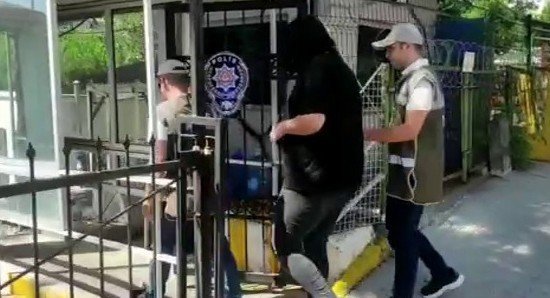 Pendik’te Beslediği Kediye Şiddet Uygulayan Şahıs Yakalandı