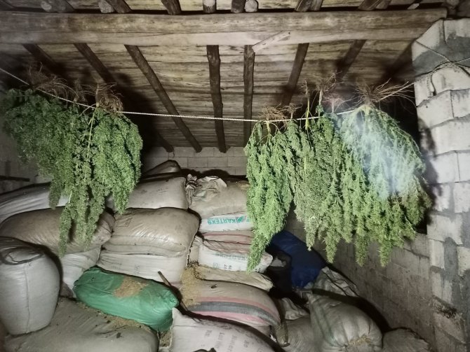 Şanlıurfa’da Uyuşturucu Operasyonu