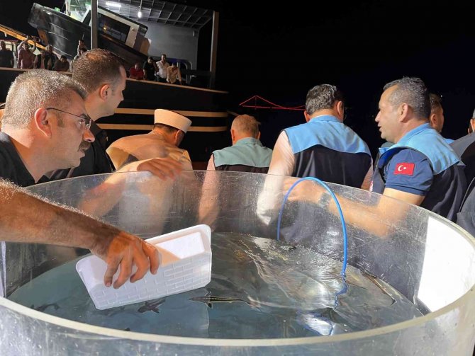 Denizlerde Av Sezonu Başladı