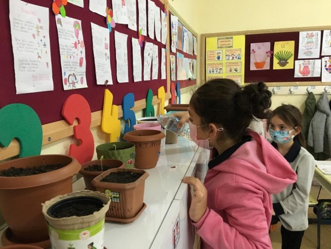 Tema Vakfı Sinop’ta 1524 Çocuğa Ulaştı