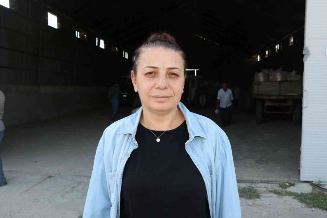 Sandıklı İle Beraber 2 İlçede Daha Haşhaş Kapsülü Alımı Başladı