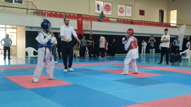 Gökberk Serin Tekvandoda İl Birincisi