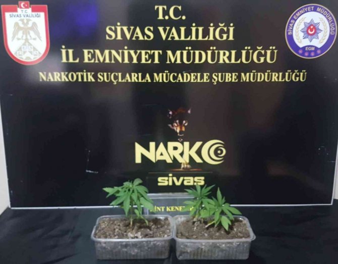 Sivas’ta Narkotikle Mücadele Hız Kesmeden Devam Ediyor