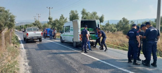 Akşam Eve Dönmedi, Yol Kenarında Ölü Bulundu