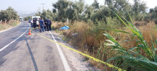Akşam Eve Dönmedi, Yol Kenarında Ölü Bulundu