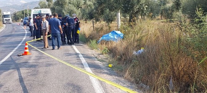 Akşam Eve Dönmedi, Yol Kenarında Ölü Bulundu