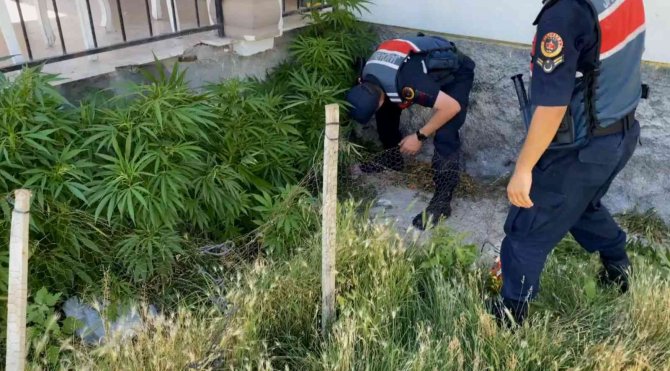 Aksaray’da 2 Köyde Uyuşturucu Operasyonu: 1’i Kadın 2 Gözaltı