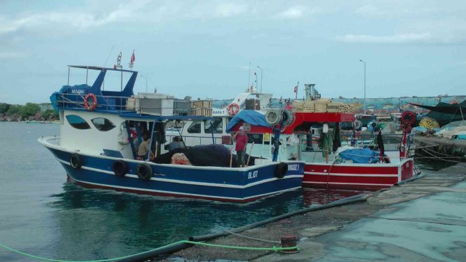 Akçakocalı Balıkçıların Sezon Açılışına Hava Muhalefeti