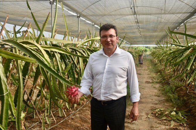 Kaymakam Şahin’in Son Projesi “Efeler Kekik Kokuyor” Oldu