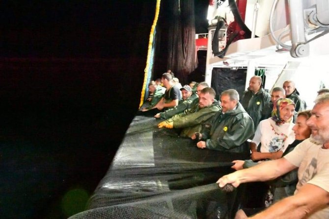 Vali Şıldak, İstavrit Çekti