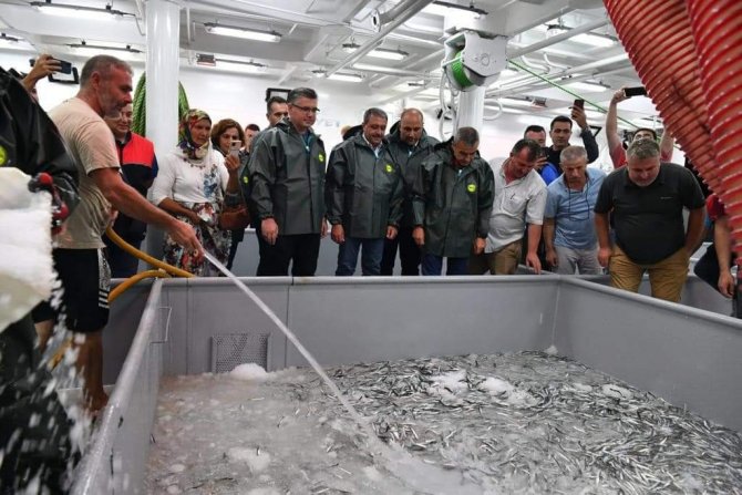 Vali Şıldak, İstavrit Çekti