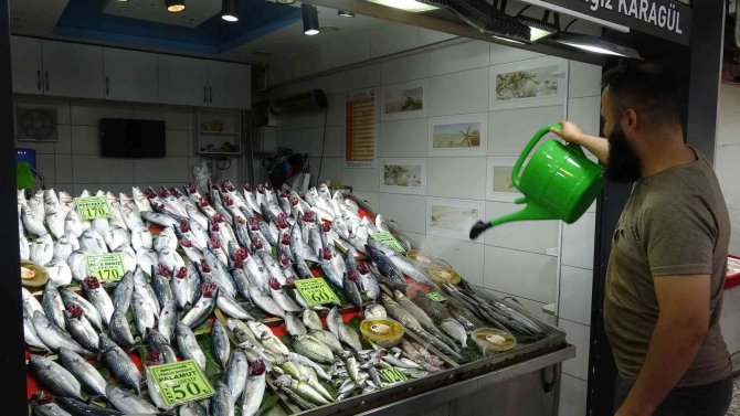 Çanakkale’de Balıkçılar Yeni Sezondan Umutlu