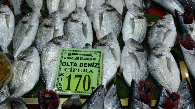 Çanakkale’de Balıkçılar Yeni Sezondan Umutlu