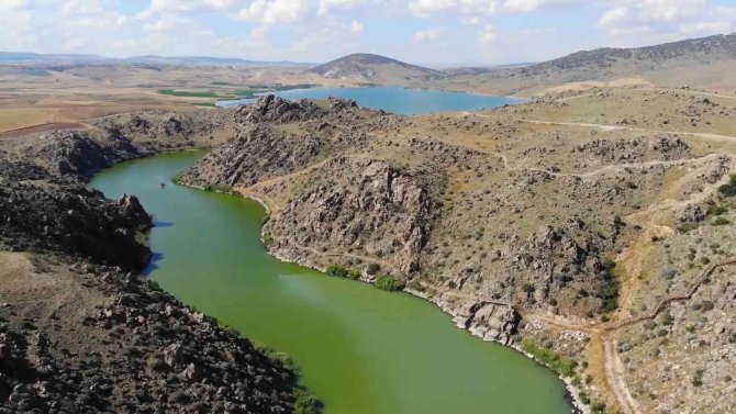 Bozkırın Yaban Hayatı Fotokapanda