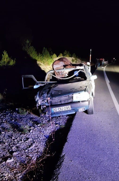 Aracın Tavanına Düşen Eşek, Babanın Ölümüne Neden Oldu